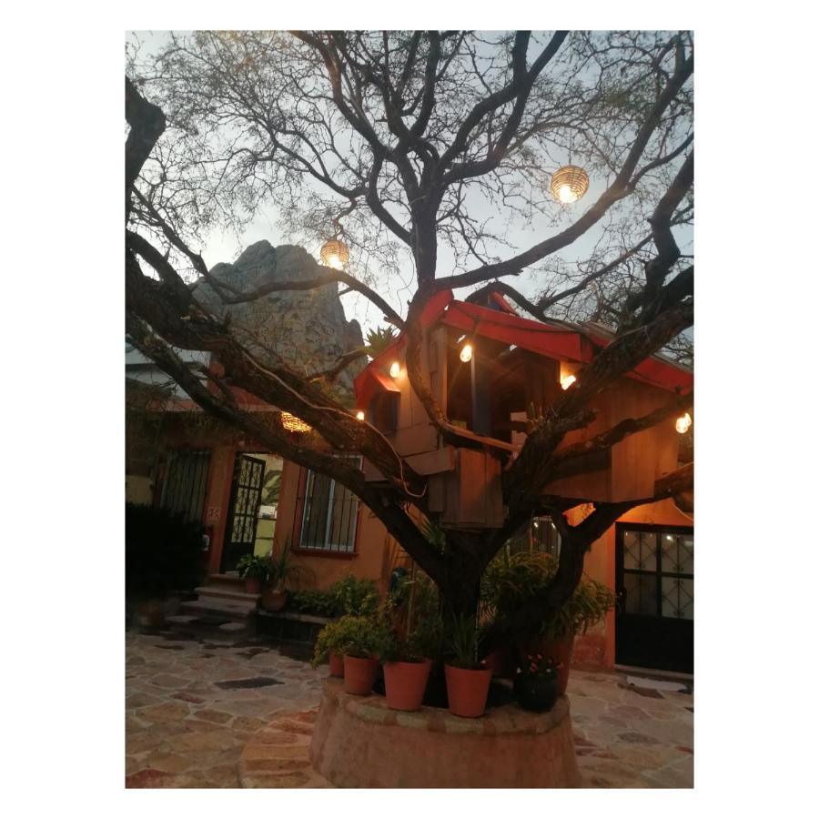Hotel Casa Del Arbol Bernal Eksteriør bilde