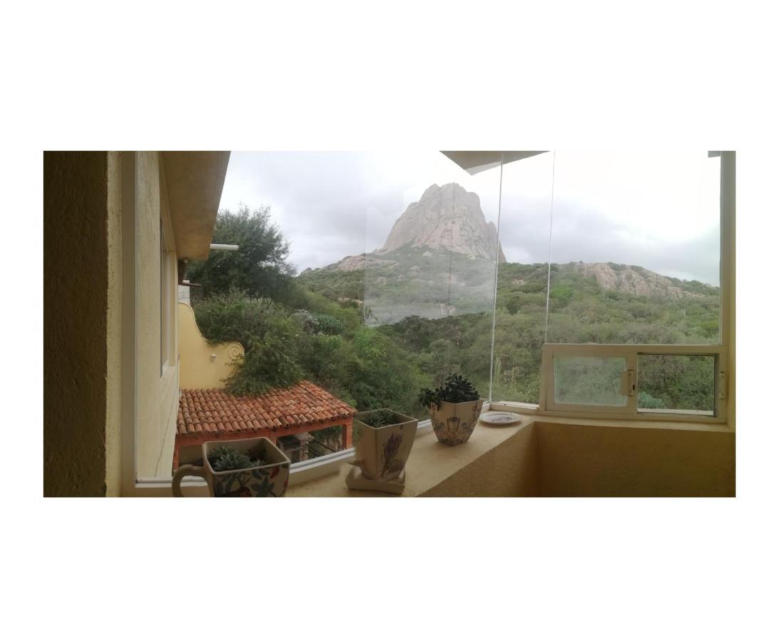 Hotel Casa Del Arbol Bernal Eksteriør bilde
