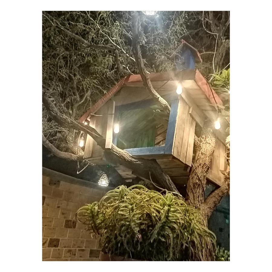 Hotel Casa Del Arbol Bernal Eksteriør bilde