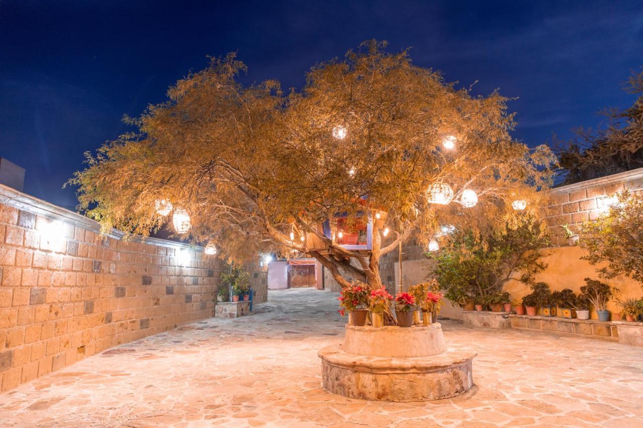 Hotel Casa Del Arbol Bernal Eksteriør bilde