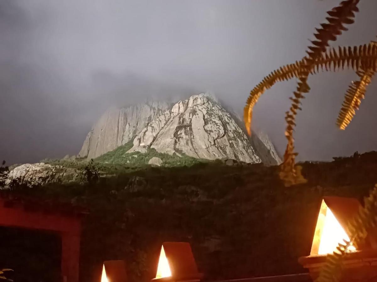 Hotel Casa Del Arbol Bernal Eksteriør bilde